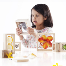 Guidecraft Doorzichtige schatboxen