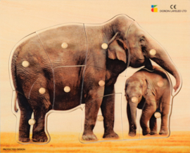 Houten puzzel, realistische olifant met jong