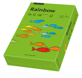 A4 papier, leverbaar in verschillende kleuren GROEN , 120 grams