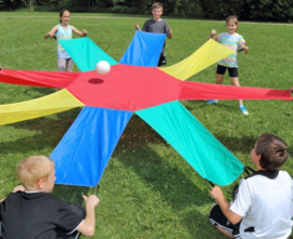 Parachute Sunflower