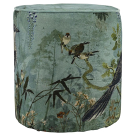 Hocker zanglijster groen