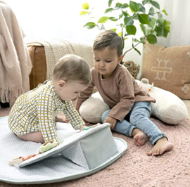 Cozy Prop 4-in-1 Sit Up & Activity Mat