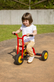 Driewieler Walker