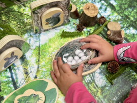 Puzzel: Welke dieren verstoppen zich in het bos?