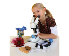 # Stereo microscoop