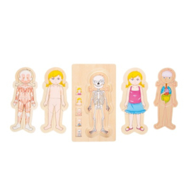 Houten puzzel Small Foot - Anatomie meisje