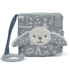 Buggyboekje Little Dutch Adventure blauw