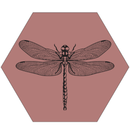 Muurhexagon libelle roze, Label-R