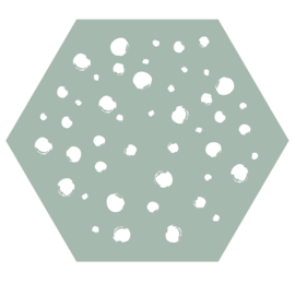 Muurhexagon dots mint, Label-R