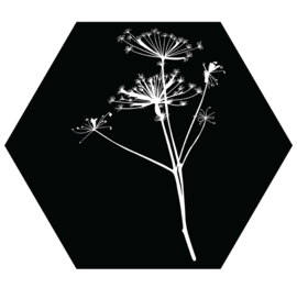 Muurhexagon zwart met witte berenklauw, Label-R