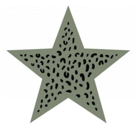 Muurster leopard groen, Label-R