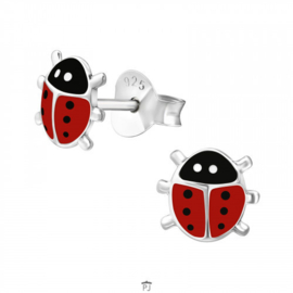 Oorstekers,  lieveheersbeestje