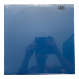 Untitled Goose Game Vinyl (NIEUW)