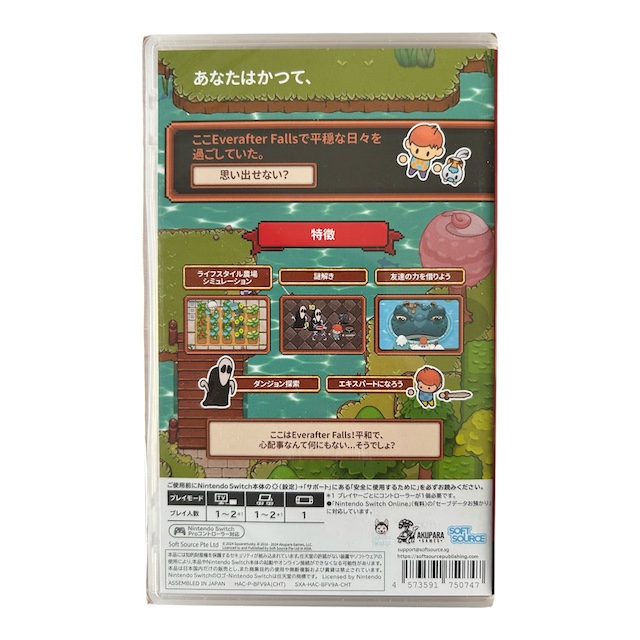Everafter Falls (Multi Language) (SWITCH) (NIEUW)