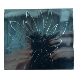 Pet Shop Boys - Release (Limited Edition Slipcase) (CD) (TWEEDEHANDS)