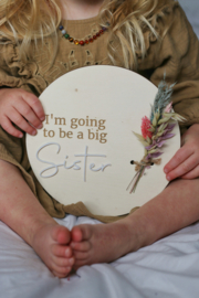 Aankondiging zwangerschap brother/sister