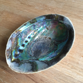 Abalone regenboog smudge schelp
