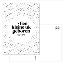 Kaart | Een kleine uk geboren