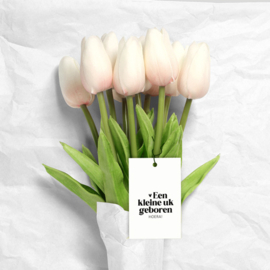 Cadeaulabel | Een kleine uk geboren