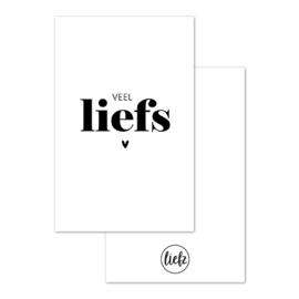 Mini kaartje | Veel liefs