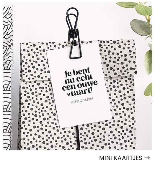 Mini kaartjes