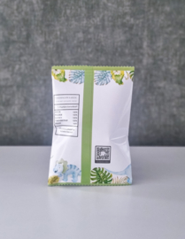 Gepersonaliseerde Dinosaurus chips / popcorn zakjes
