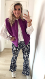 Flared zebra