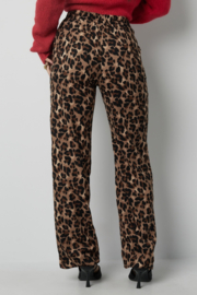 Leopard broek