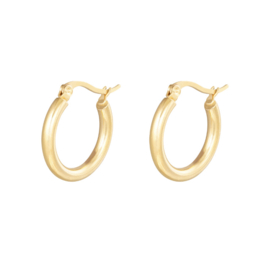 Oorbel gouden ring