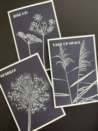 Set van 3 cyanotype kaarten