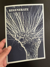 Cyanotye Kaart - Regenerate