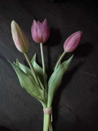 Tulpjes