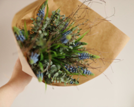 Boeket blauwe druifjes