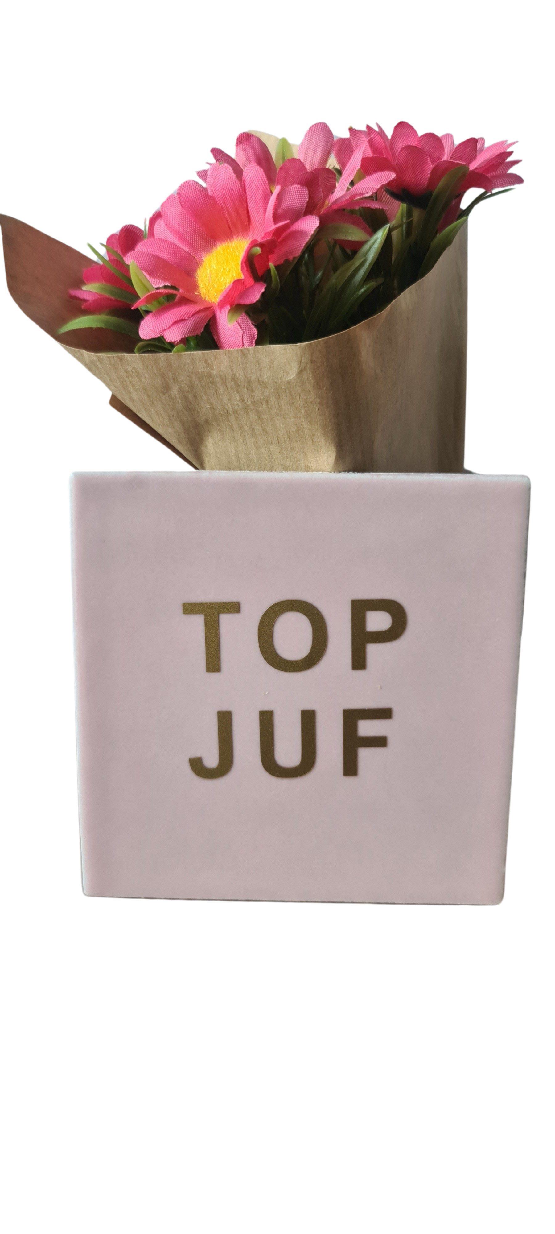 Tegel -Roze -Top juf