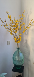 Set Forsythia tak 3 stuks