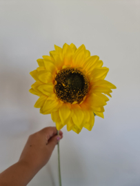 Set Zonnebloemen
