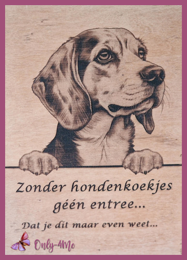 Beagle 14,99