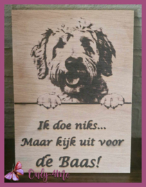 Labradoodle 14,99