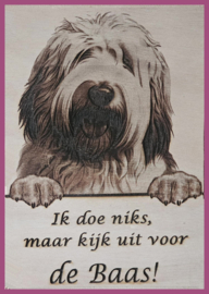 Bobtail (Old English Sheepdog ) € 14,99