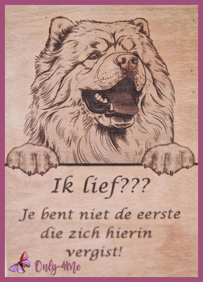 Chow chow € 14,99