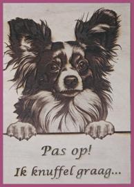Vlinderhondje € 14,99