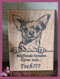 Chihuahua 01 14,99