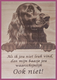 Ierse Setter € 14,99