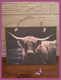 Houten schilderij Schotse hooglander 01 € 5,99