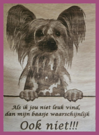 Chinese naakthond € 14,99