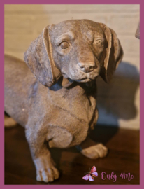 Beeld Teckel € 69,99