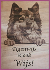 Finse Lappenhond € 14,99