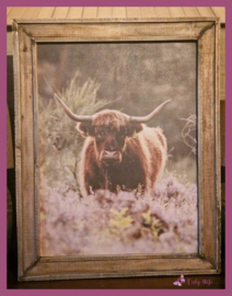 Landelijke houten fotolijst met Schotse Hooglander  € 19,99