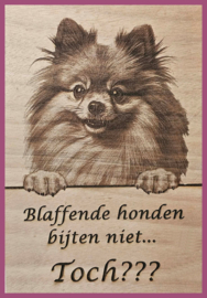 Pomeriaan 01 € 14,99