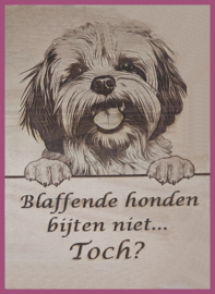 Lhasa apso € 14,99